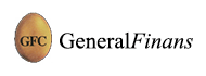 GFC General Finans Menkul Değerler  A.Ş.